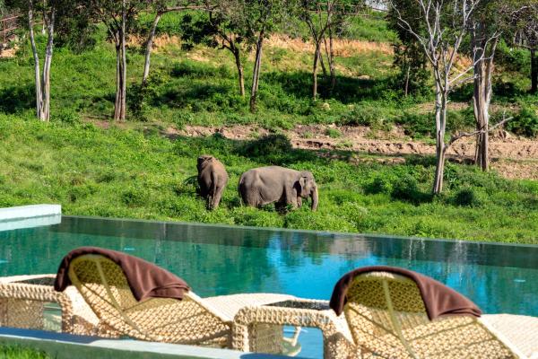 A la foto es mostra l'objecte Wild Cottages Elephant Sanctuary Resort situat a la ciutat de Bophut.