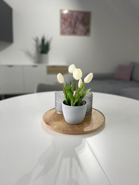 Na zdjęciu widoczny jest obiekt Ferienwohnung Johannes położony w mieście Soltau.