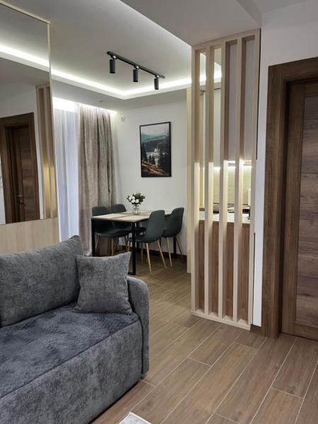 A la foto es mostra l'objecte Apartman Borovi 11 Divčibare situat a la ciutat de Divčibare.
