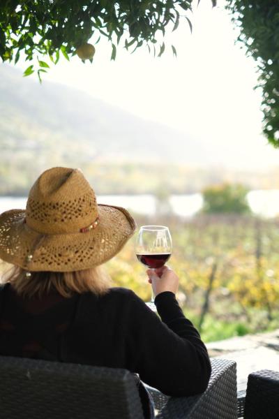 Quinta Das Casas - Douro Winery & Villas - Vila Real