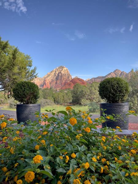 A la foto es mostra l'objecte The Dahl House Of Sedona situat a la ciutat de Sedona.