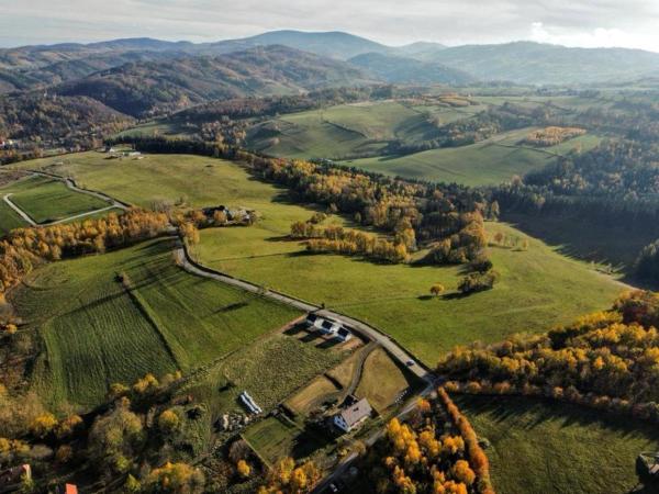 Auf dem Foto ist das Objekt Sosnowe Wzgórze - Wypoczynek w Zagórzu Śląskim 3 in der Stadt Modliszów zu sehen.