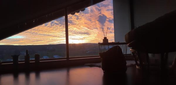Na fotografii je vidět objekt Pokoj s privátní koupelnou a krásným výhledem v podkroví nacházející se ve městě Svídnice.