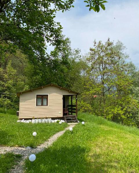 La photo montre l'objet Livada Prunilor situé dans la ville de Cheia.