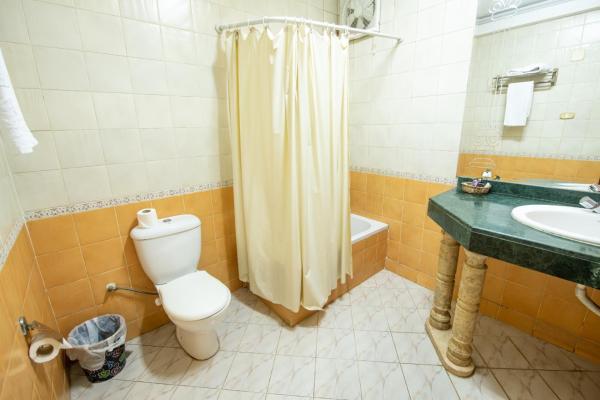 Foto 3: Assiutel