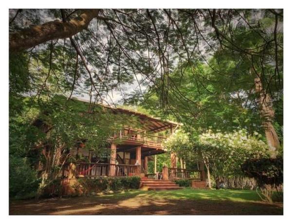 Na fotografii je vidět objekt Hotel Ceiba Bonga nacházející se ve městě Acandí.