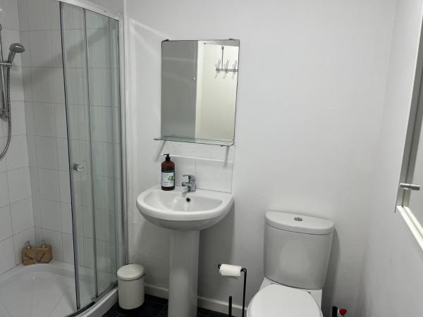 A la foto es mostra l'objecte Loganberry apartment situat a la ciutat de Belfast.