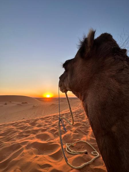 Desert - Marokkó
