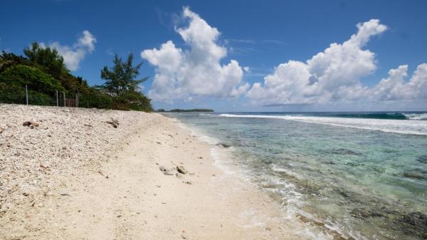 Na fotografii je vidět objekt Bungalow N°1 Temae Beach by Enjoy villas nacházející se ve městě Moorea.