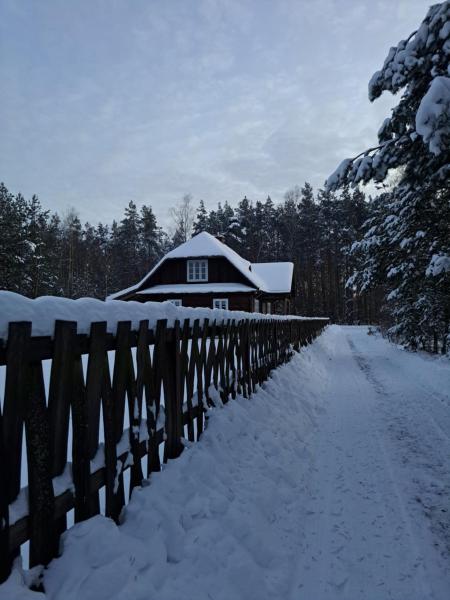 Na fotografii je vidět objekt Sosnowy Domek nacházející se ve městě Łazory.