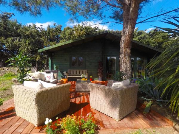 A la foto es mostra l'objecte Mas Des Fleurs - Olive House situat a la ciutat de Perpinyà.