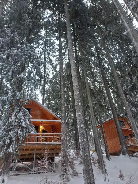 写真にはブシュテニ市にあるChalet Hay Huyが写っています。