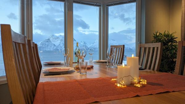 La photo montre l'objet Villa Lyngenfjord situé dans la ville de Hamnnes.