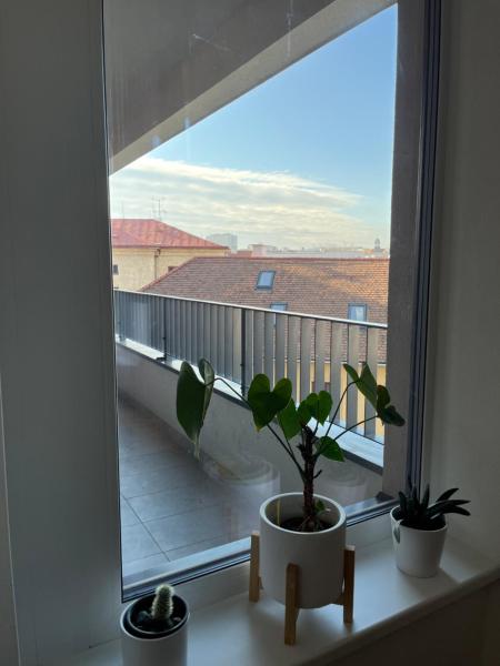 Foto 9: Apartman Usmev