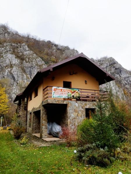 Na fotografii je vidět objekt CASA ARTEMI nacházející se ve městě Damiş.
