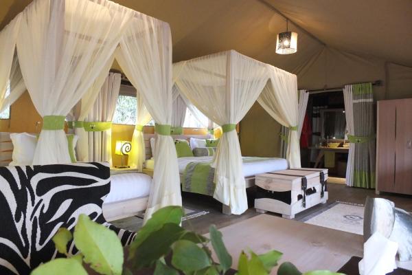 A la foto es mostra l'objecte Soroi Private Wing situat a la ciutat de Masai Mara.