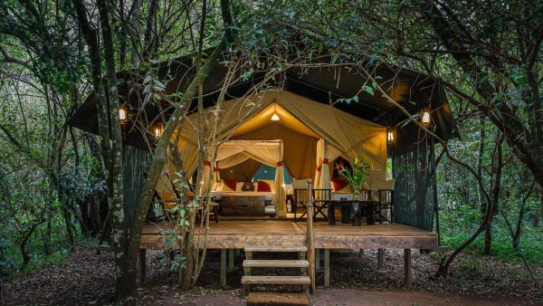 A la foto es mostra l'objecte Soroi Mara Bush Camp situat a la ciutat de Masai Mara.