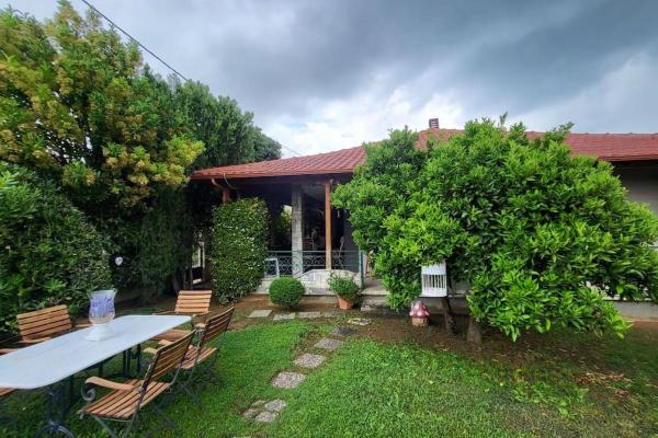 Na zdjęciu widoczny jest obiekt Mery's Countryside House położony w mieście Portariá.