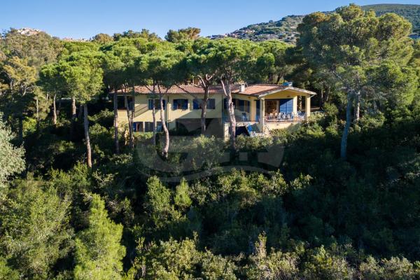 A la foto es mostra l'objecte Villa Madonna delle Grazie con accesso privato al mare - Goelba situat a la ciutat de Capoliveri.