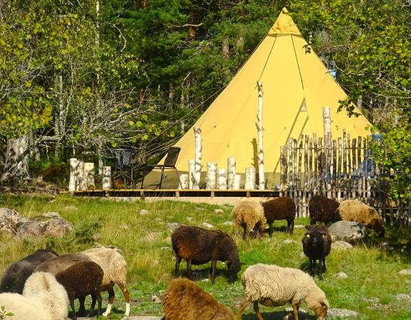 A la foto es mostra l'objecte Västeräng Glamping situat a la ciutat de Risis.