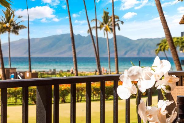 Papakea C208 - Hawaii