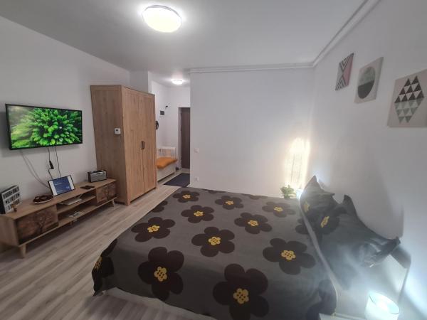 Nella foto è visibile l'oggetto Siriului Studio situato nella città di Bucarest.