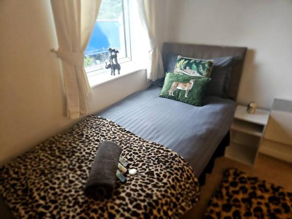 Φωτογραφία 6: Leopard in Dutton Warrington