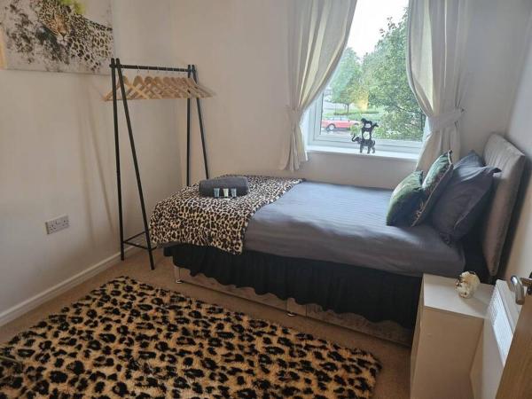 Φωτογραφία 8: Leopard in Dutton Warrington