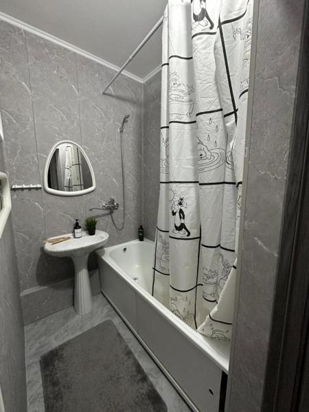 Foto 2: 1 комнатная квартира,