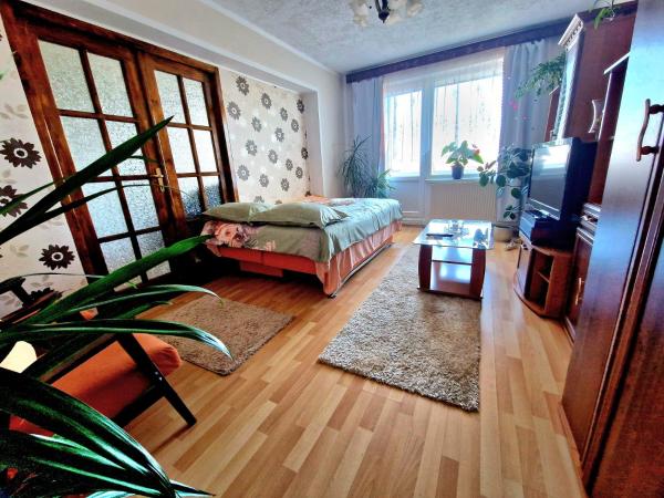 Sabina Apartment - Sighișoara