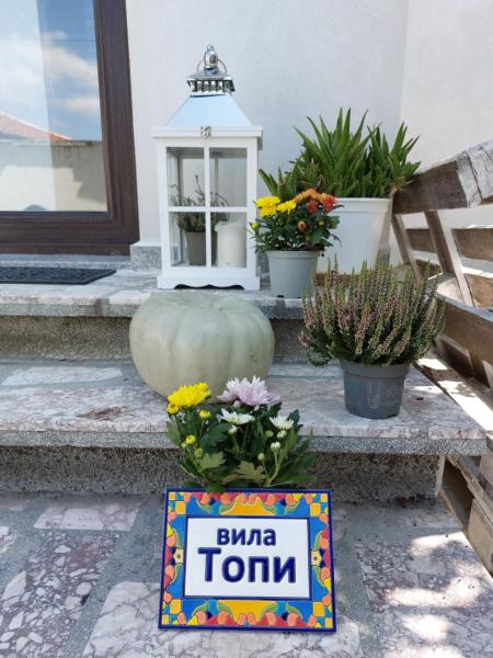 вила Топи