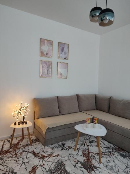 A la foto es mostra l'objecte AS apartman Panonica situat a la ciutat de Tuzla.