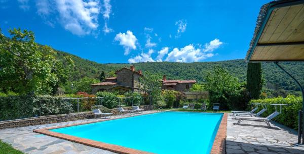 På billedet ses objektet Colle Degli Ulivi - Cortona, Pool, Nature, Privacy beliggende i byen Cegliolo.