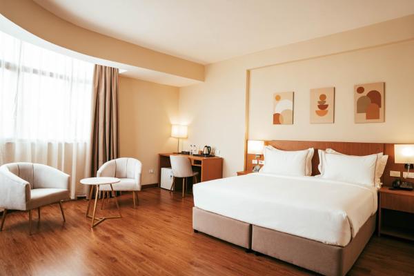 Na fotografii je vidět objekt AYA Addis Hotel nacházející se ve městě Addis Abeba.