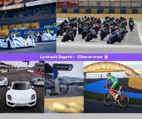 Foto 9: Flexy - T2 - L' Agate Grise - Le Mans