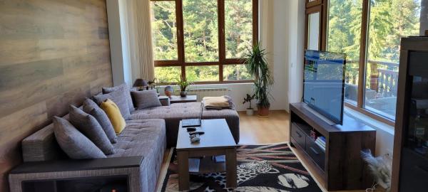 A la foto es mostra l'objecte Cozy Rila Park Apartments situat a la ciutat de Borovets.