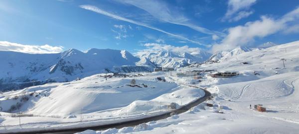 Фотография 7: Alpine View in New Gudauri