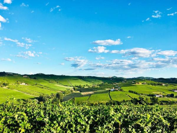 På billedet ses objektet Villa panoramica sulle colline del Monferrato beliggende i byen Casa Berta.