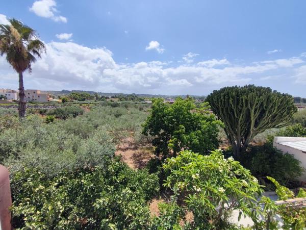 A la foto es mostra l'objecte l'Araucaria casa vacanze situat a la ciutat de Marsala.