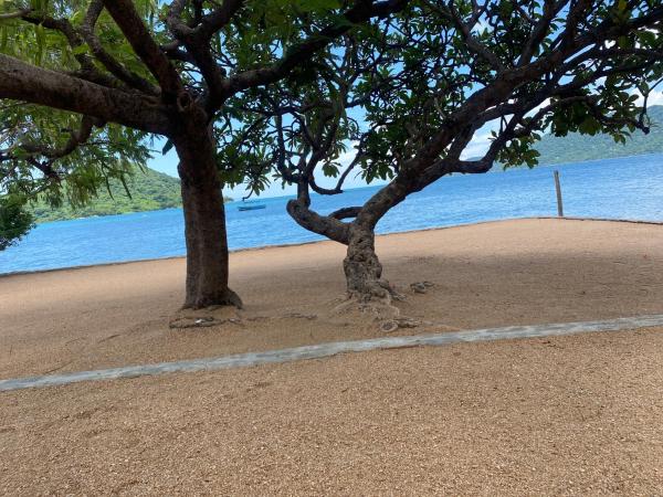 Na zdjęciu widoczny jest obiekt Capricorn Beachfront Cottage położony w mieście Cape Maclear.