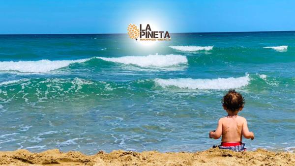 A la foto es mostra l'objecte Agricampeggio La Pineta situat a la ciutat de Lesina.