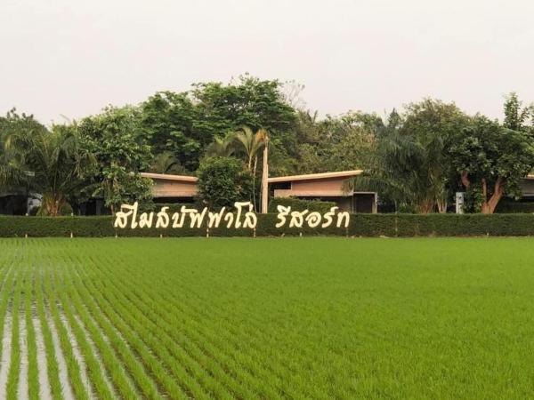 写真にはBan Oi Noi (2)市にあるSmile Buffalo Resort สไมล์ รีสอร์ทが写っています。
