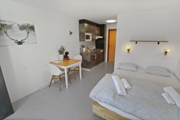 På billedet ses objektet Studio charmant avec vue imprenable beliggende i byen Saas-Fee.