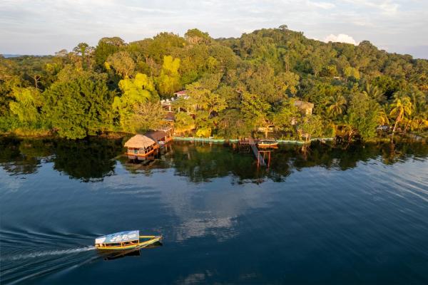 Las Luciernagas Hotel, Flores