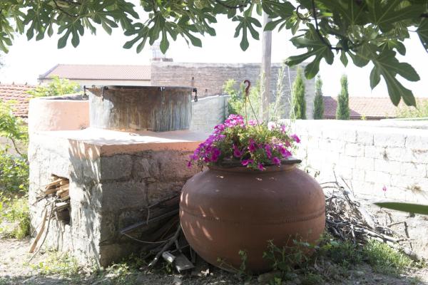 A la foto es mostra l'objecte Marianna Mansion situat a la ciutat de Pachna.