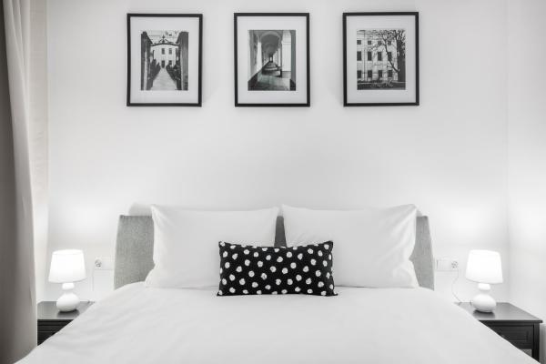 Na fotografii je vidět objekt Chic Monochrome Flat nacházející se ve městě Baia Episcopiei.