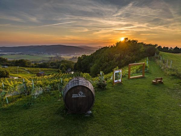 Nella foto è visibile l'oggetto Apartament w Winiarni situato nella città di Lichwin.