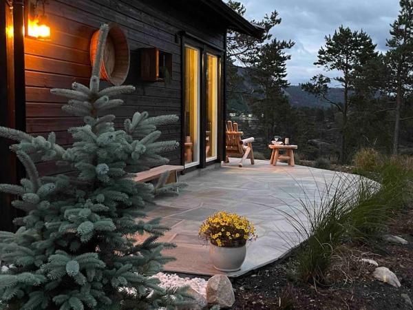 Cosy cabin between lake and mountain, Treungen