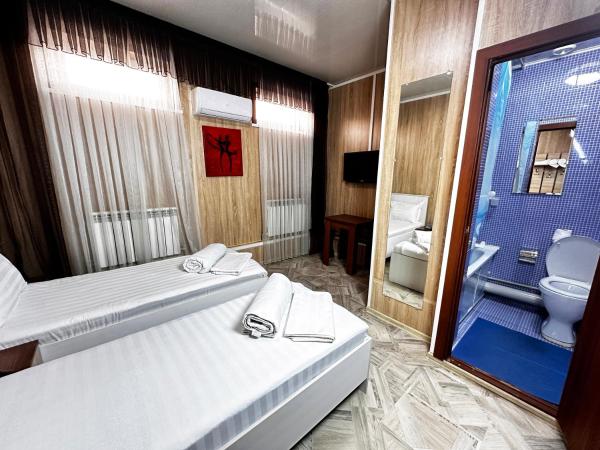 På bildet vises objektet Bal-Meyir Hotel som ligger i byen Koktobe.