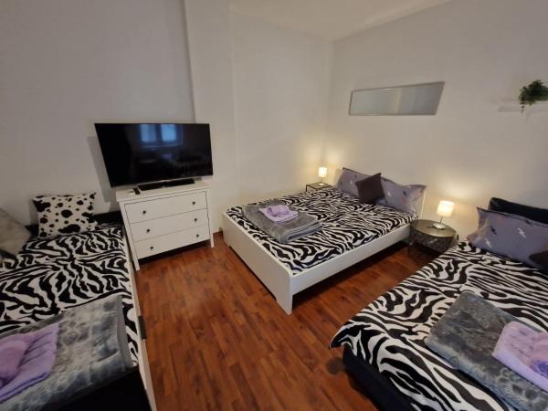 Na zdjęciu widoczny jest obiekt Belgrade Downtown Homestay położony w mieście Belgrad.